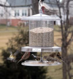 All Weather Feeder 4QT