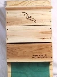 Single-celled Bat House