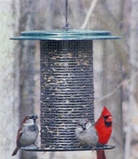 Sunflower Seed Feeders
