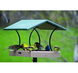Platform Bird Feeders