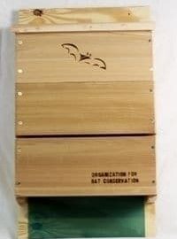 Triple-celled Bat House