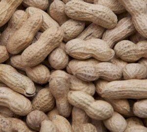 In-Shell Raw Peanuts