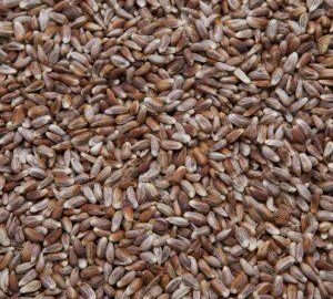 Nutra Saff Safflower