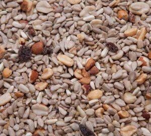 Regal Wild Bird Specialty Mix