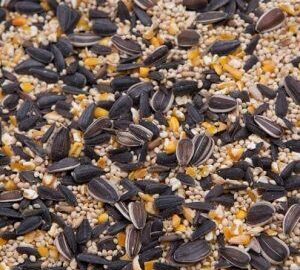 Standard General Wild Bird Mix