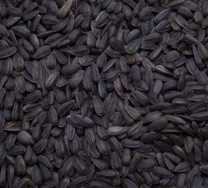 Black Oil Sunflower Seed