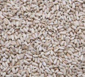 White Safflower Seed