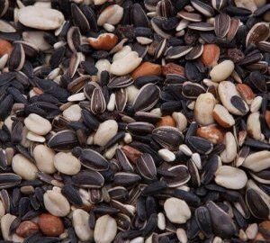 Attraction Specialty Wild Bird Mix