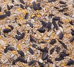 Classic General Wild Bird Mix