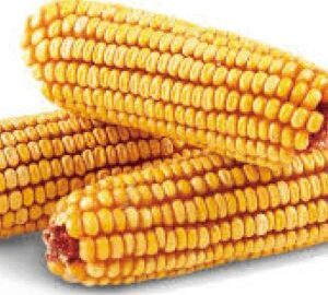 Premium Eared Corn 7lb Bag