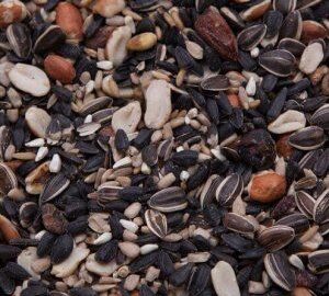 Fruit & Nut Wild Bird Mix