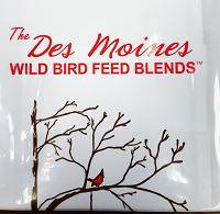 Bird Feed