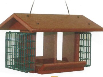 Twin Buffet Bird Feeder w/ Suet Baskets
